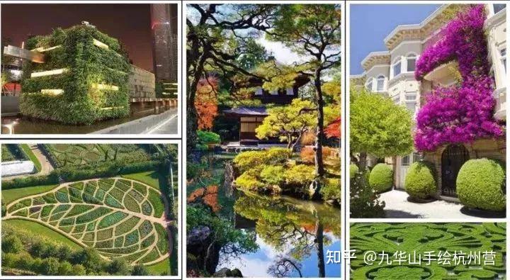 深度解析——园林景观植物配置 - 知乎