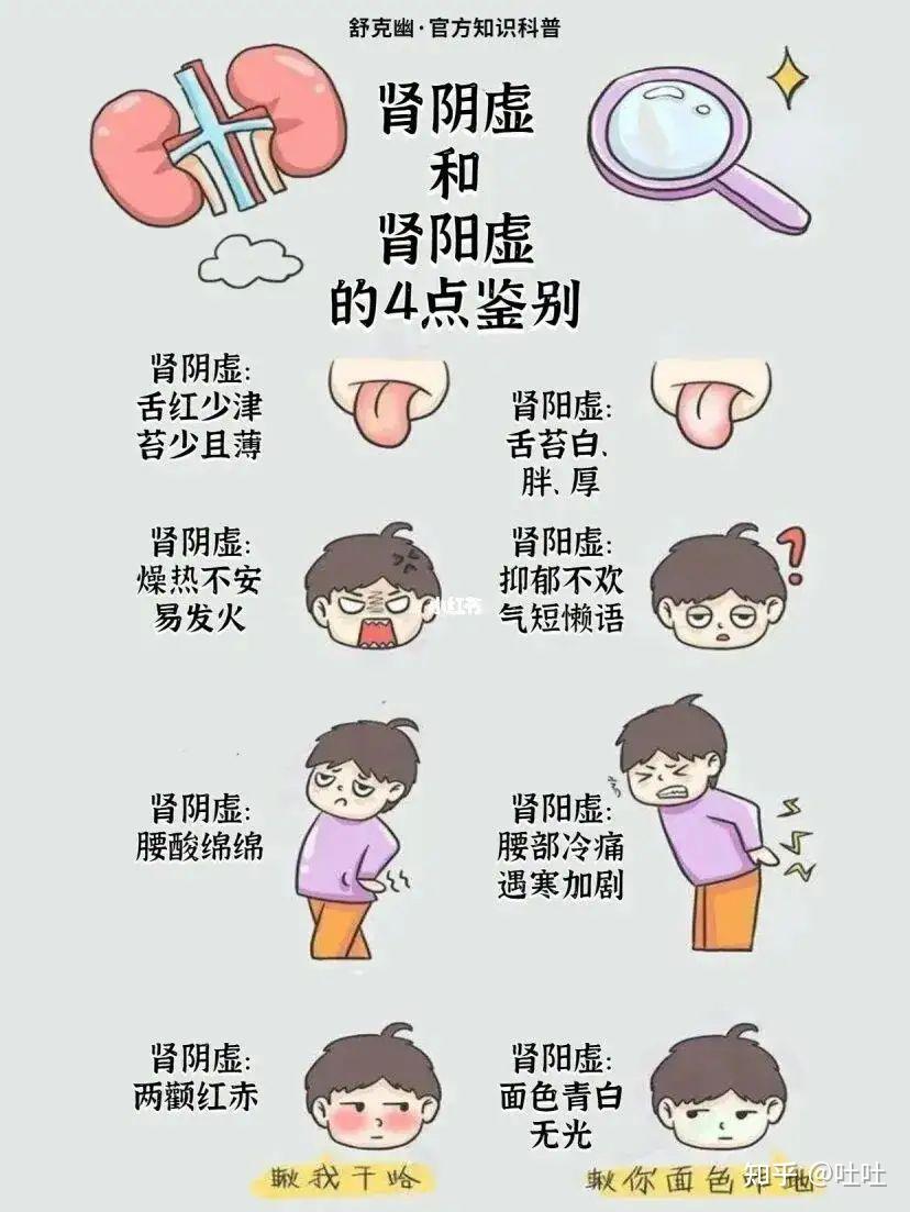 如何分辩肾阳虚和肾阴虚 - 知乎