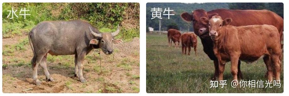 2026年7月|夏季凉席选购全攻略：竹席、藤席、草席、冰丝凉席、乳胶凉席、牛皮凉席怎么选？凉席选购攻略+高性价比品牌推荐