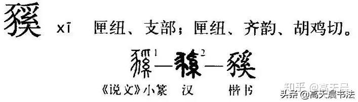 “猪”与“家”的汉字演变与文化内涵 - 知乎