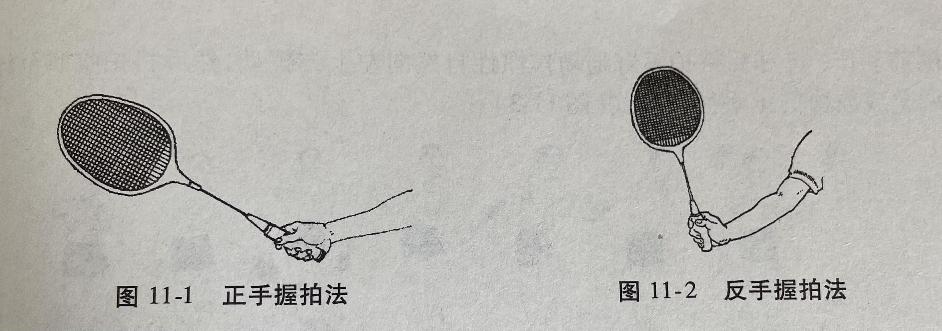 羽毛球基本技术（握拍发球） - 知乎