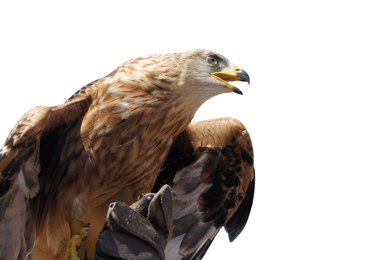 4. 金鹰周边配套