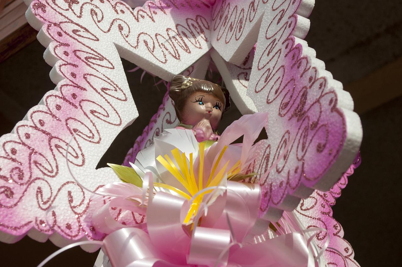 鸭脚木春季如何修剪