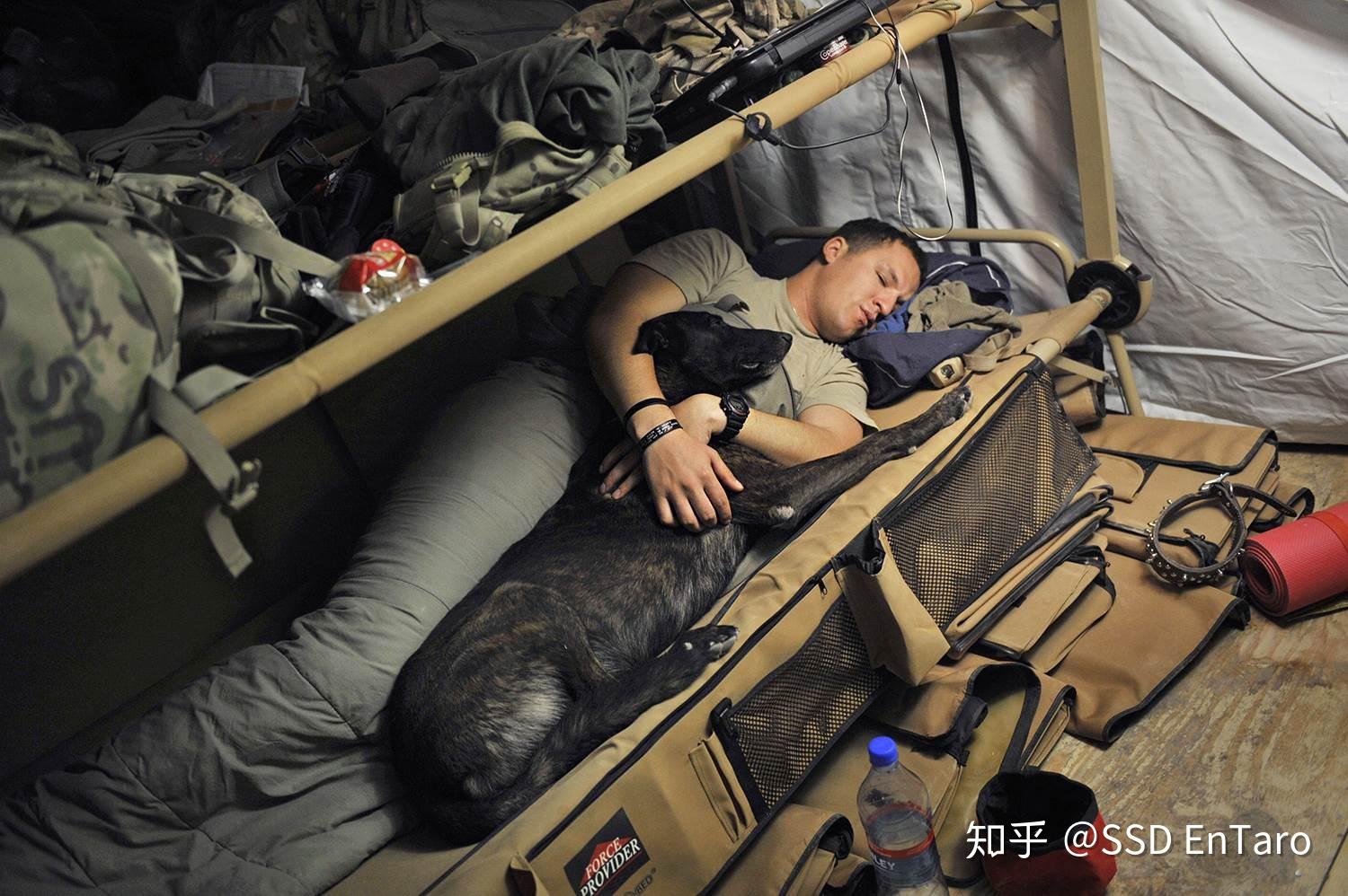 在部队里是怎样睡觉的? - 知乎