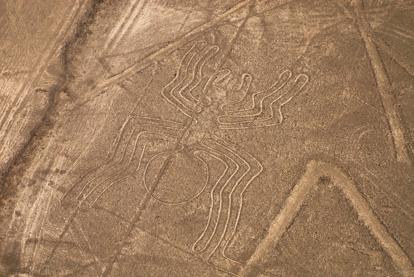 纳斯卡线条(nazca lines)是怎么回事? - 知乎