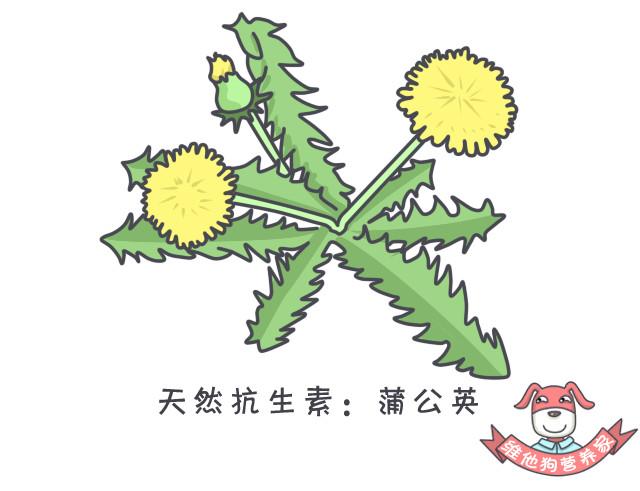 阳春三月你知道应该吃什么吗吃了有什么好处你知道吗