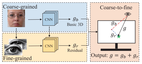 《A Coarse-to-Fine Adaptive Network for Appearance-Based Gaze Estimation ...