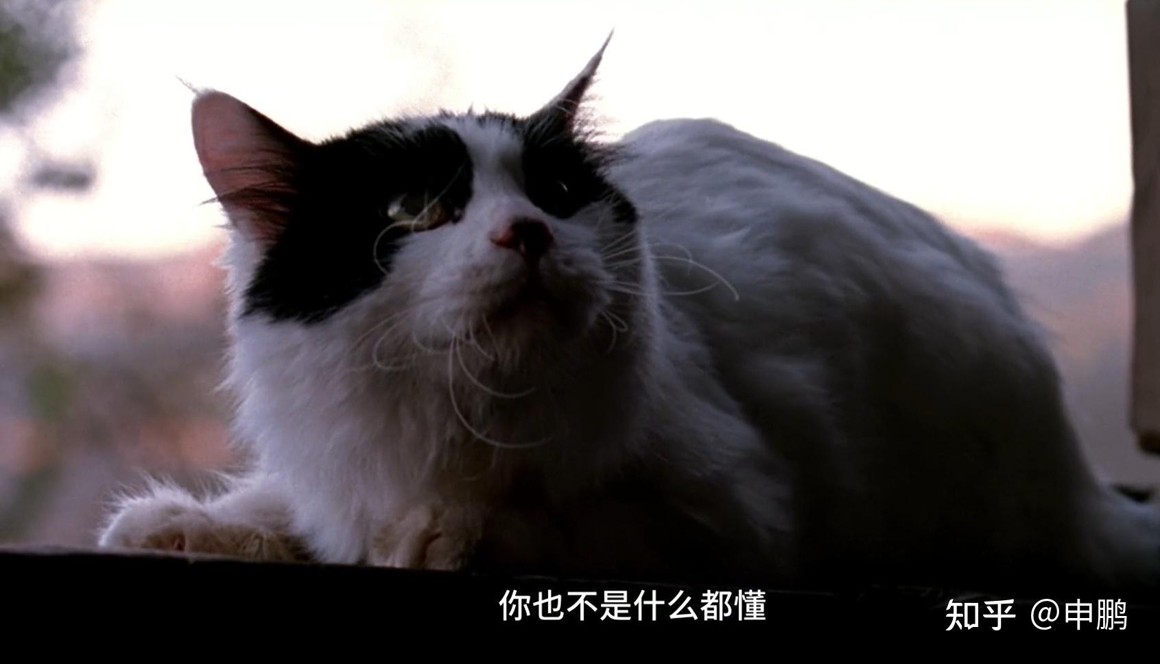 电影太阳照常升起究竟要表达什么意思