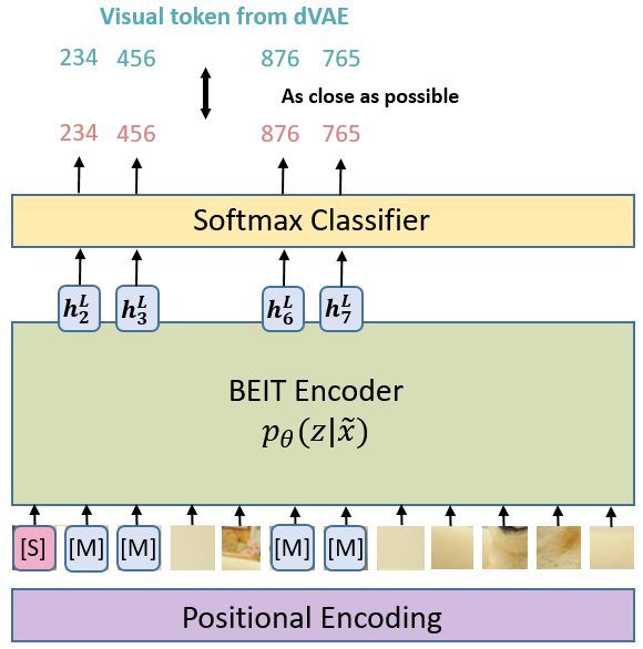 Self-Supervised Learning 超详细解读 (三)：BEiT：视觉BERT预训练模型 - 知乎