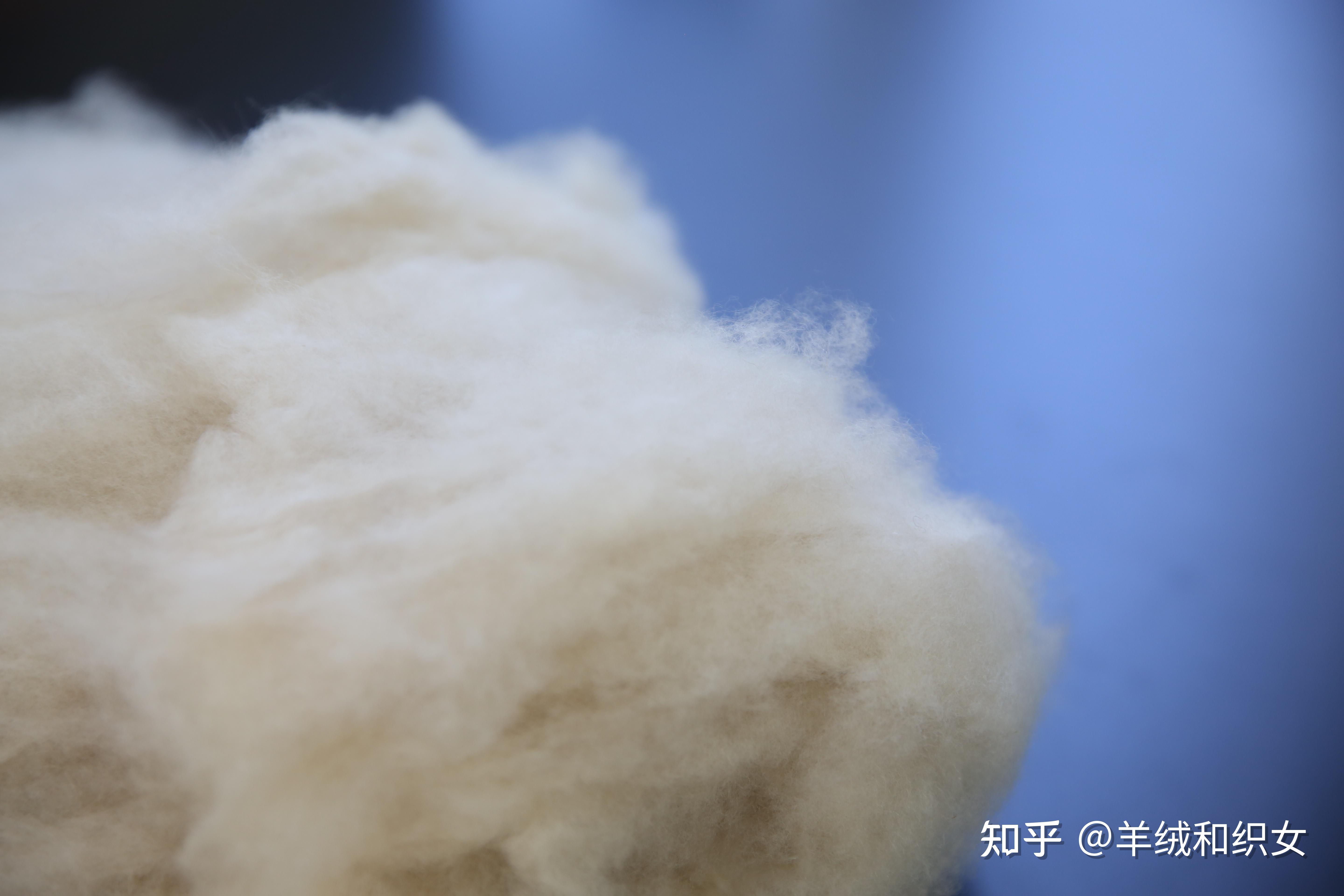 什么是羊绒的白绒，青绒和紫绒？怎么选择？哪种好？ - 知乎