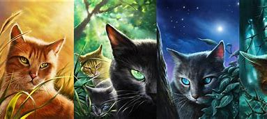 经典童书《猫武士》中有深度的句子 - 知乎