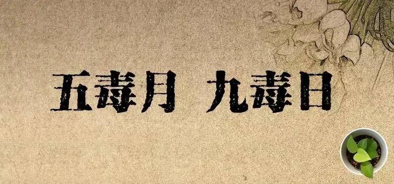 五毒月端午节九毒日,“天地交泰日”禁忌,男女都要知道!!! - 知乎