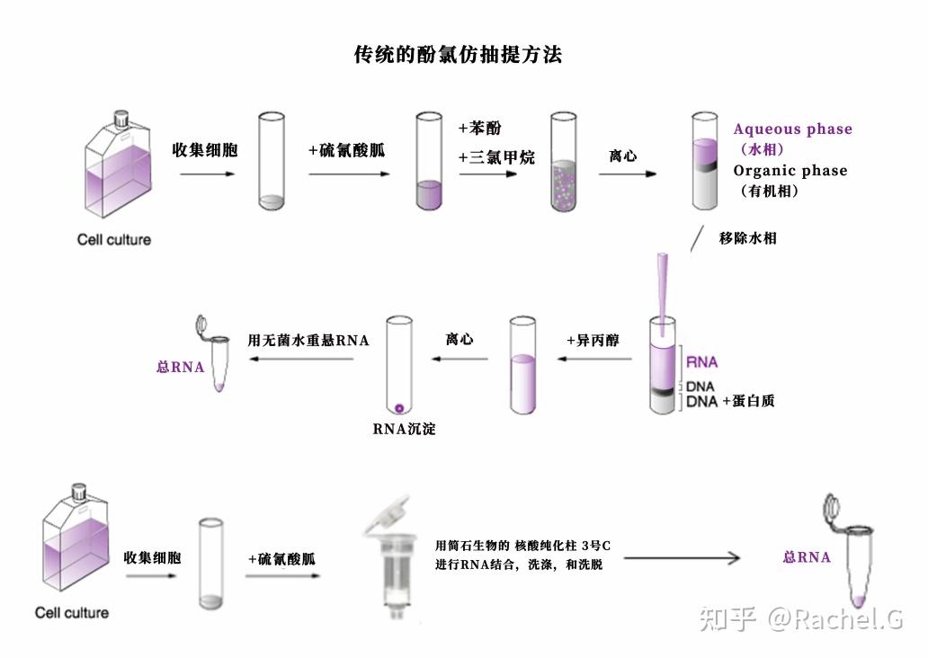 提取 rna 的方法有哪些?