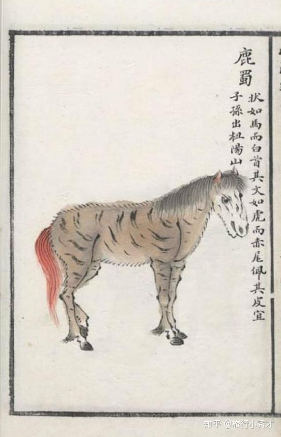 一起聊聊上古奇书《山海经》里的那些小妖怪! - 知乎