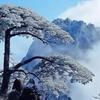 东山映雪