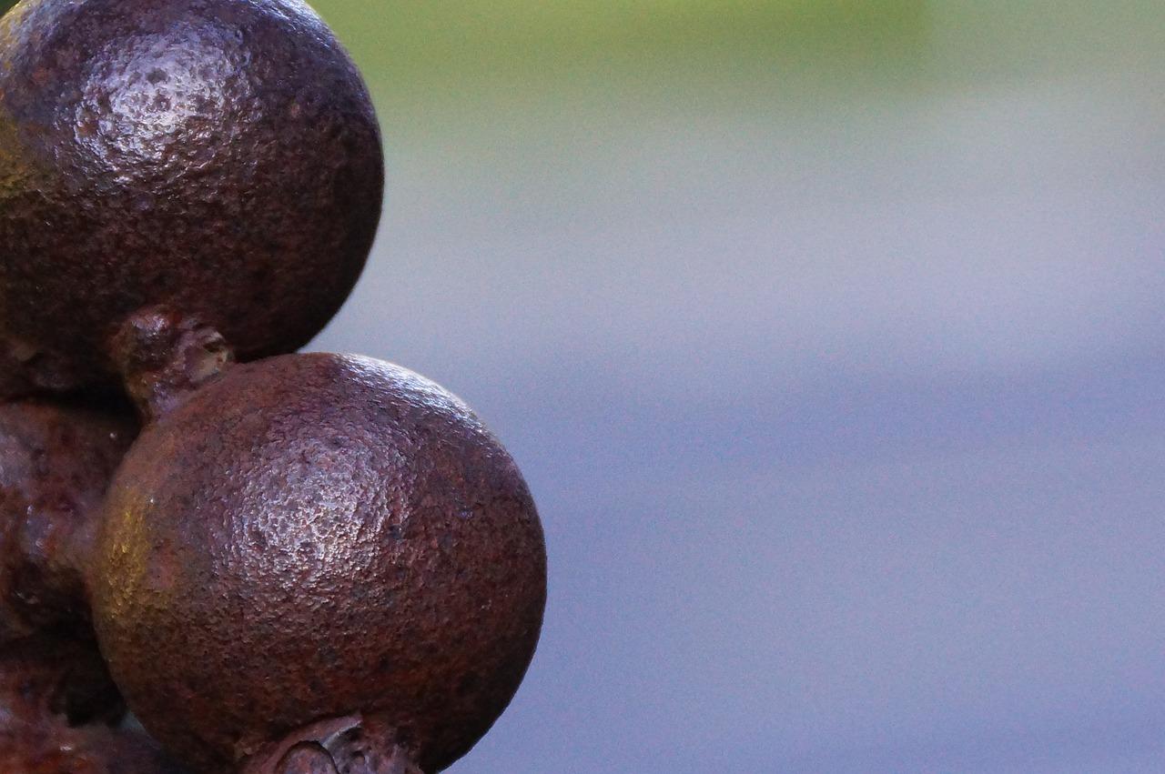 3. 山竹每日限量