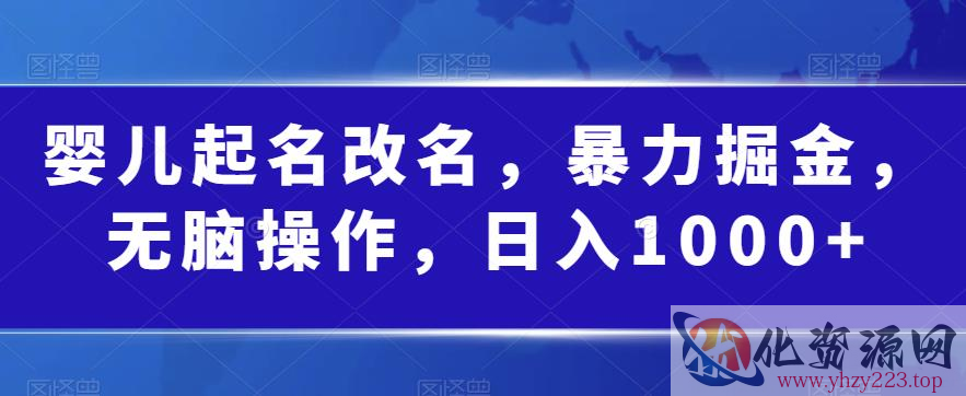 婴儿起名改名，暴力掘金，无脑操作，日入1000+【揭秘】