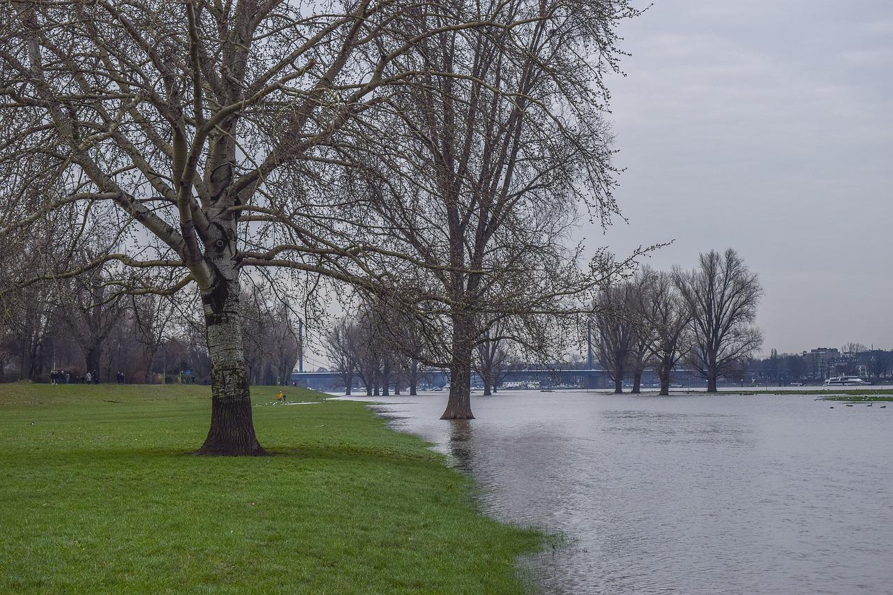 地段与交通便利性分析