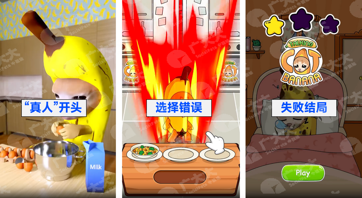 日本猫meme爆火，越南厂商进军猫meme手游，盘点猫meme极品素材- 知乎