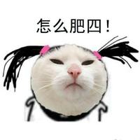 Zhihu profile picture for @antarctica