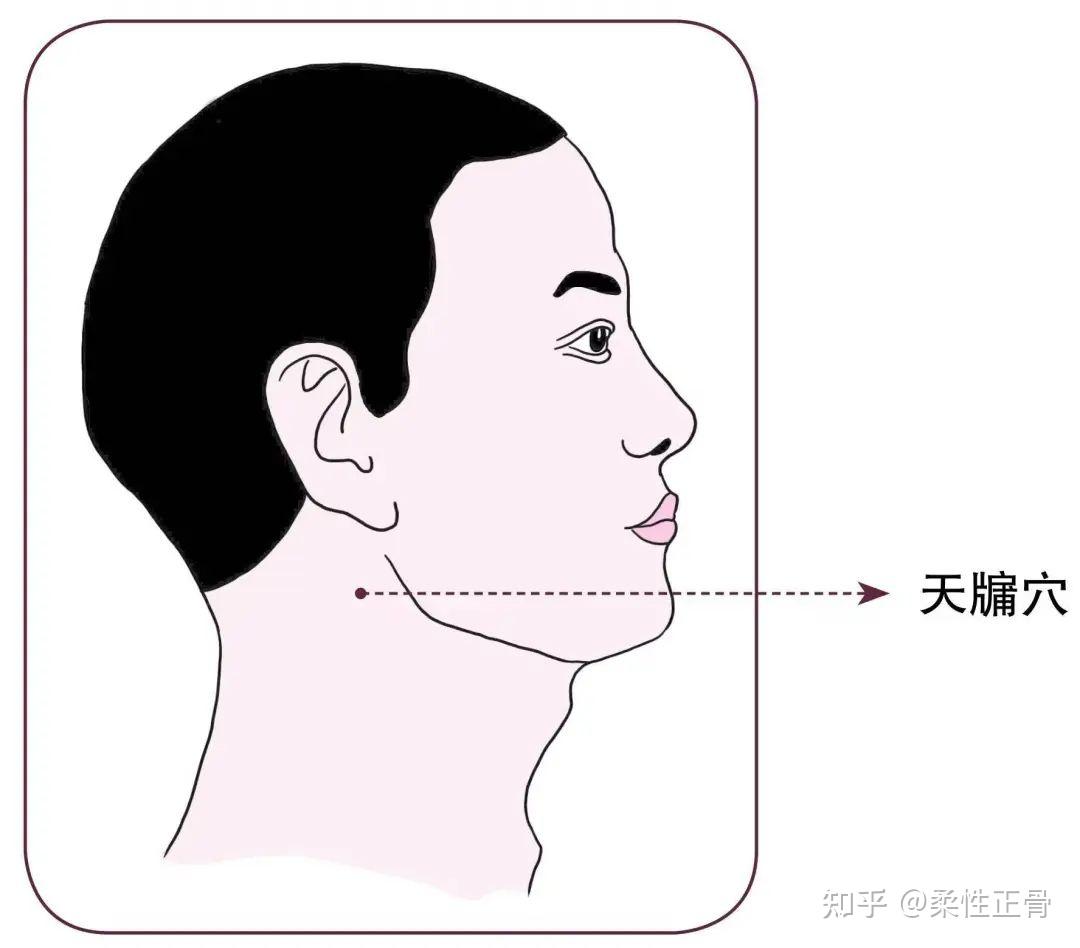 颈椎病自我康复15个特效穴位按摩教程大全 - 知乎