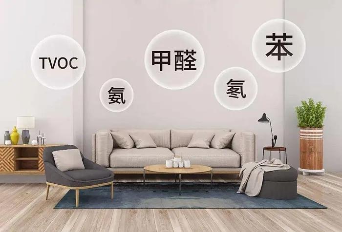 有效去甲醛的四种方法,你知道几个? - 知乎