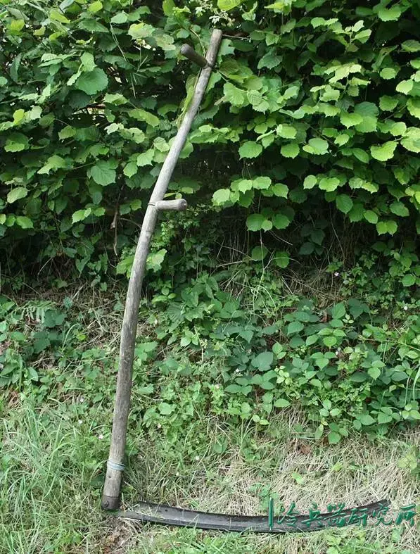 除了死神,镰刀真的被作为过武器使用吗? - 知乎