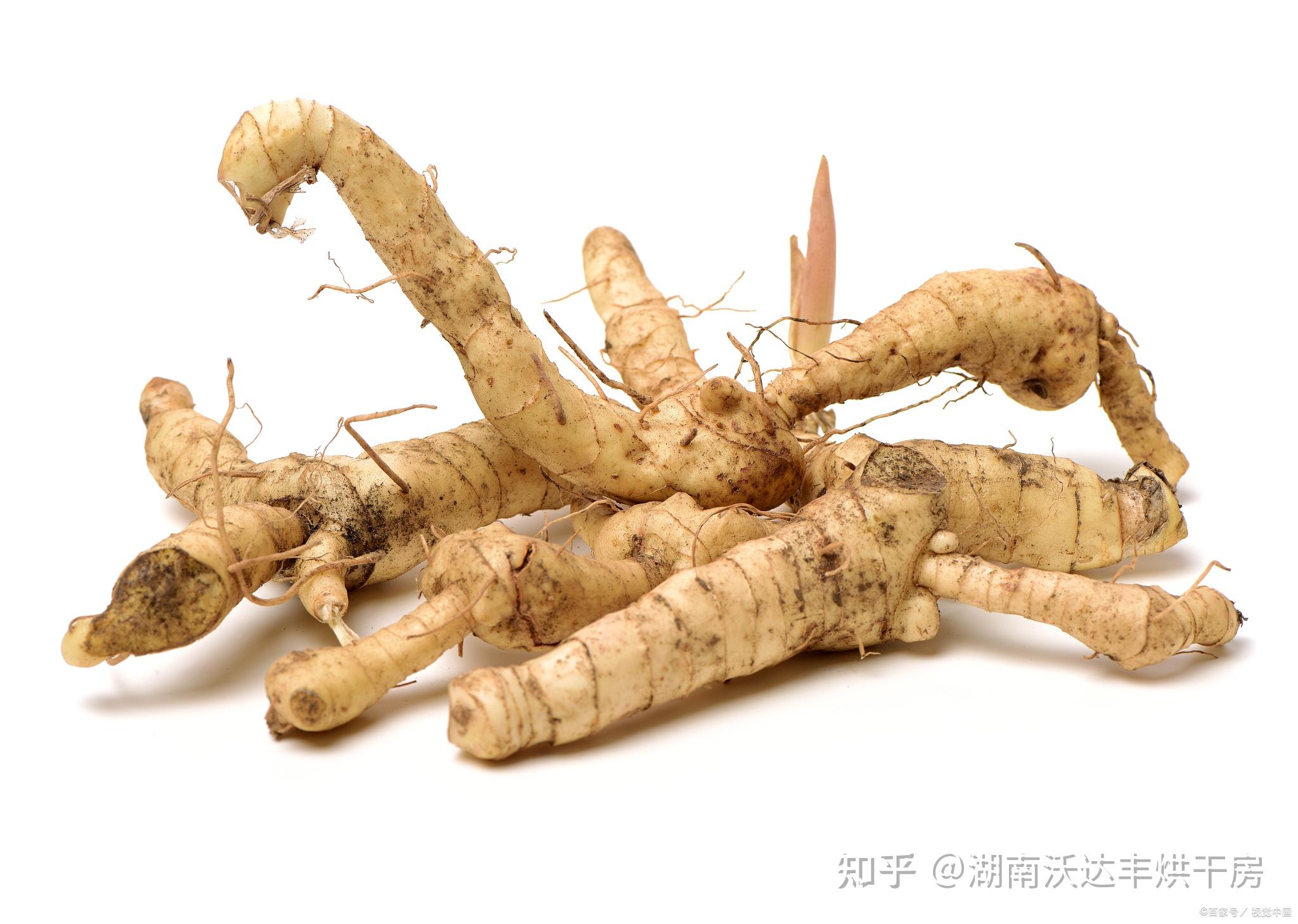 黄精可以九蒸九晒吗九蒸九晒黄精怎么做