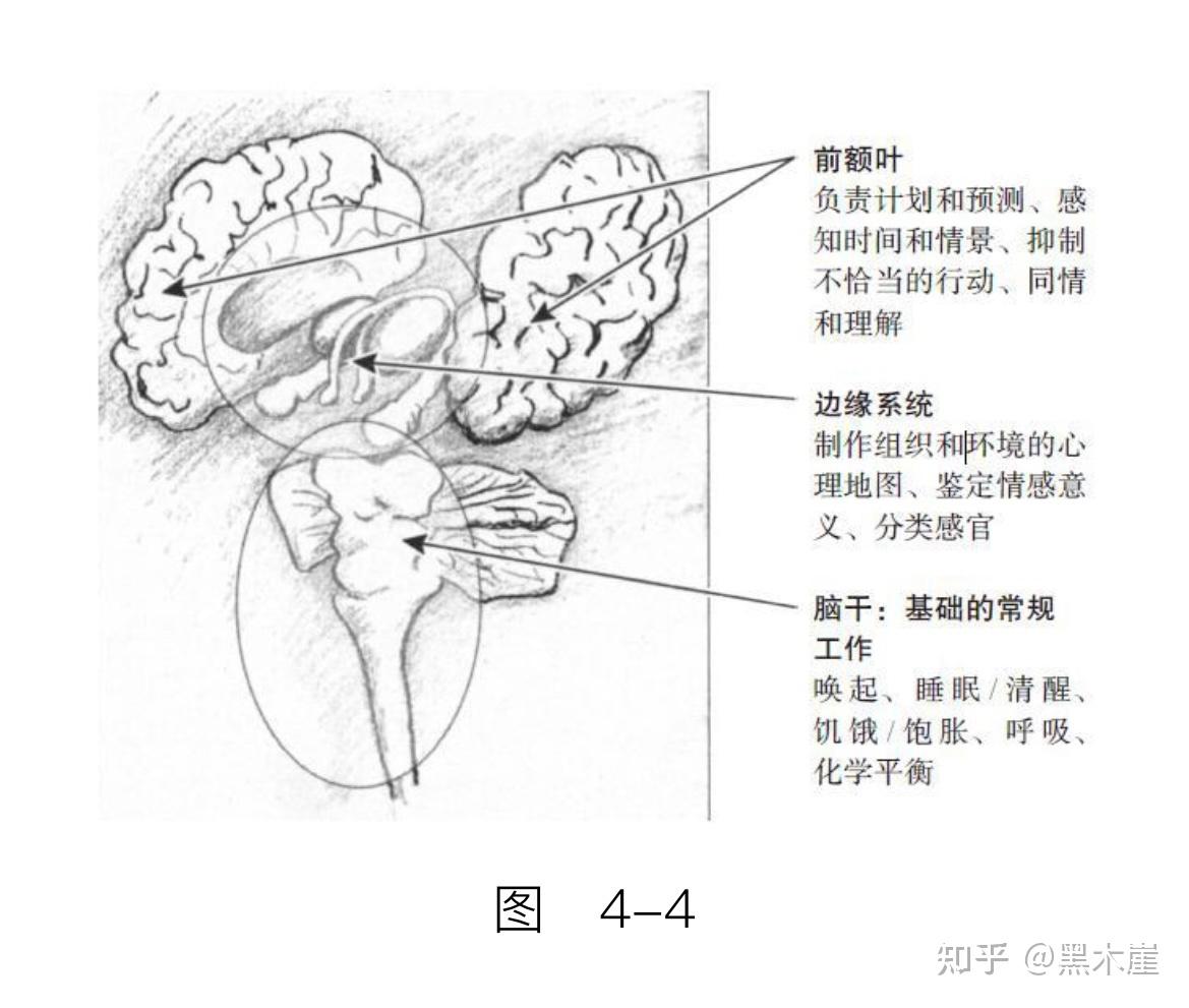 美）巴塞尔·范德考克《身体从未忘记》摘录（上）：心理创伤疗愈