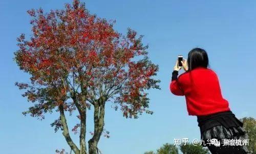景观|空间|环境与人的行为心理学 - 知乎