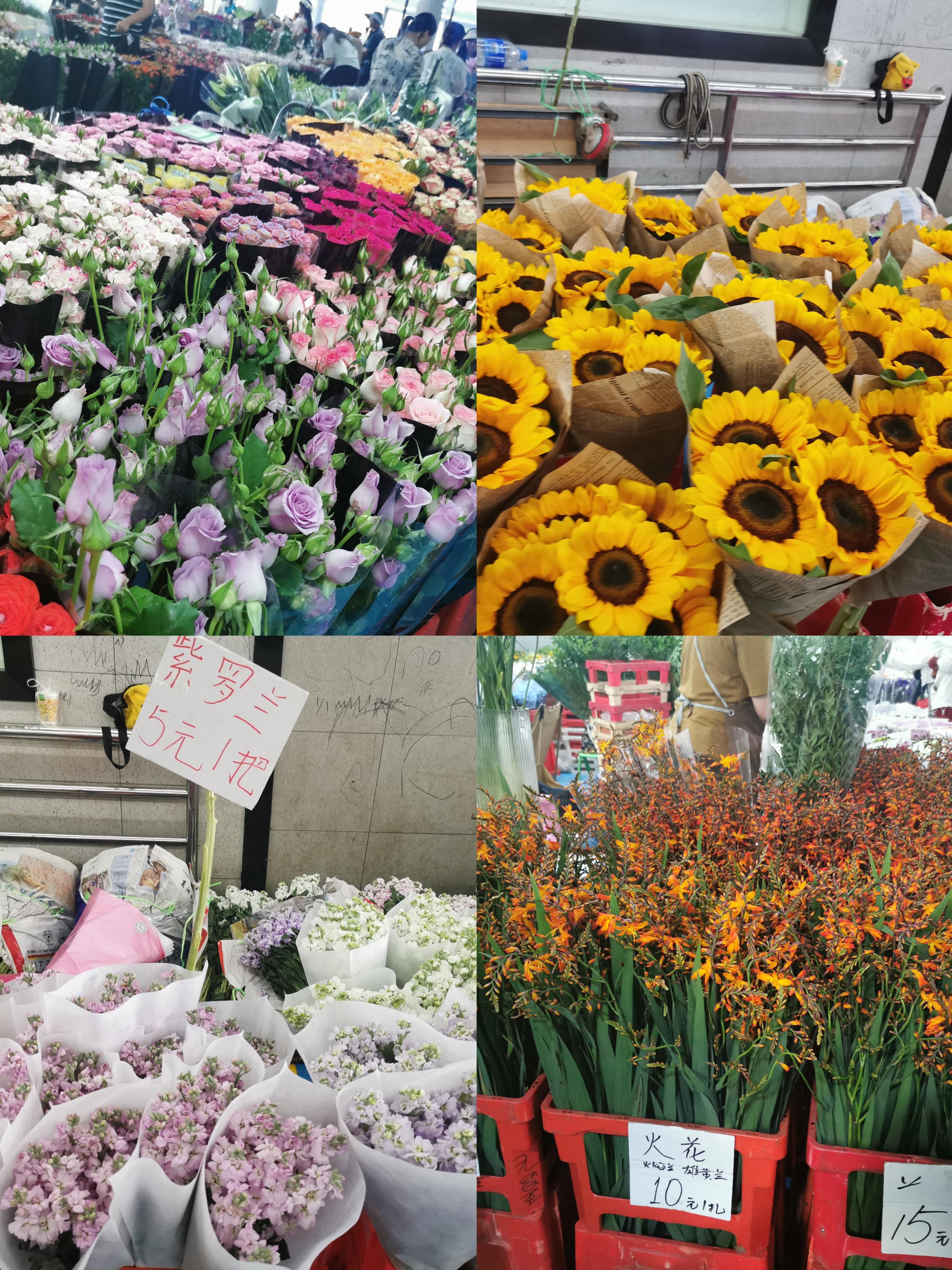 昆明斗南花卉市场位置图片