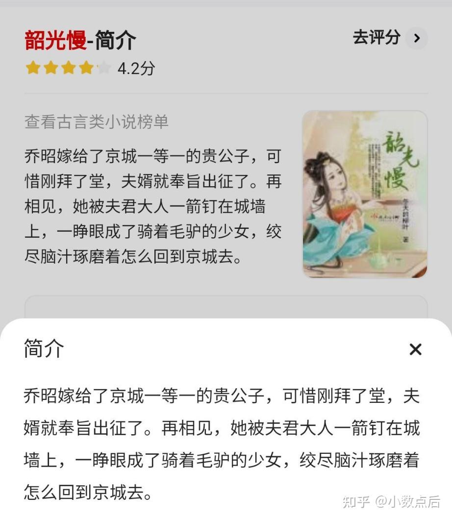 小说阅读记录44-韶光慢 - 知乎