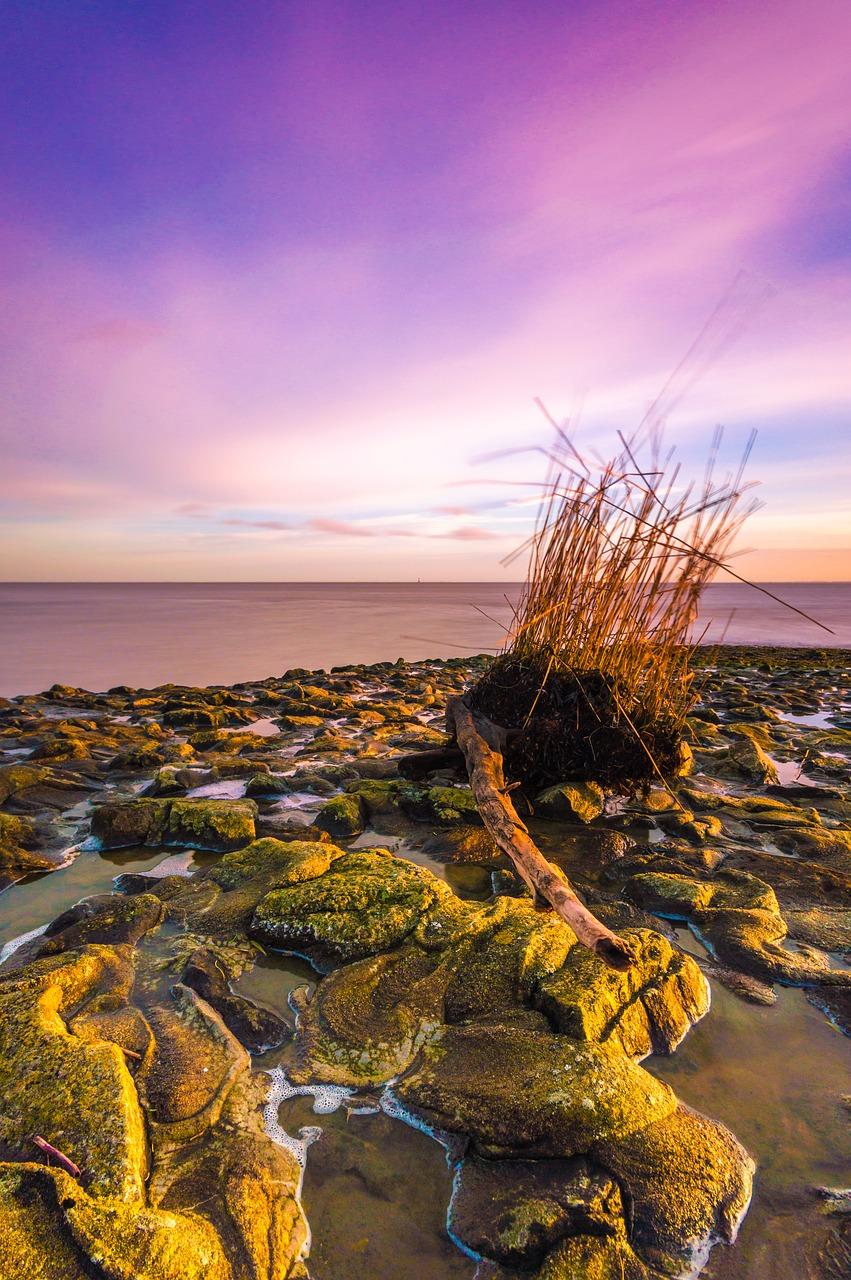 北海32度穿什么衣服