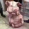 爽爽人