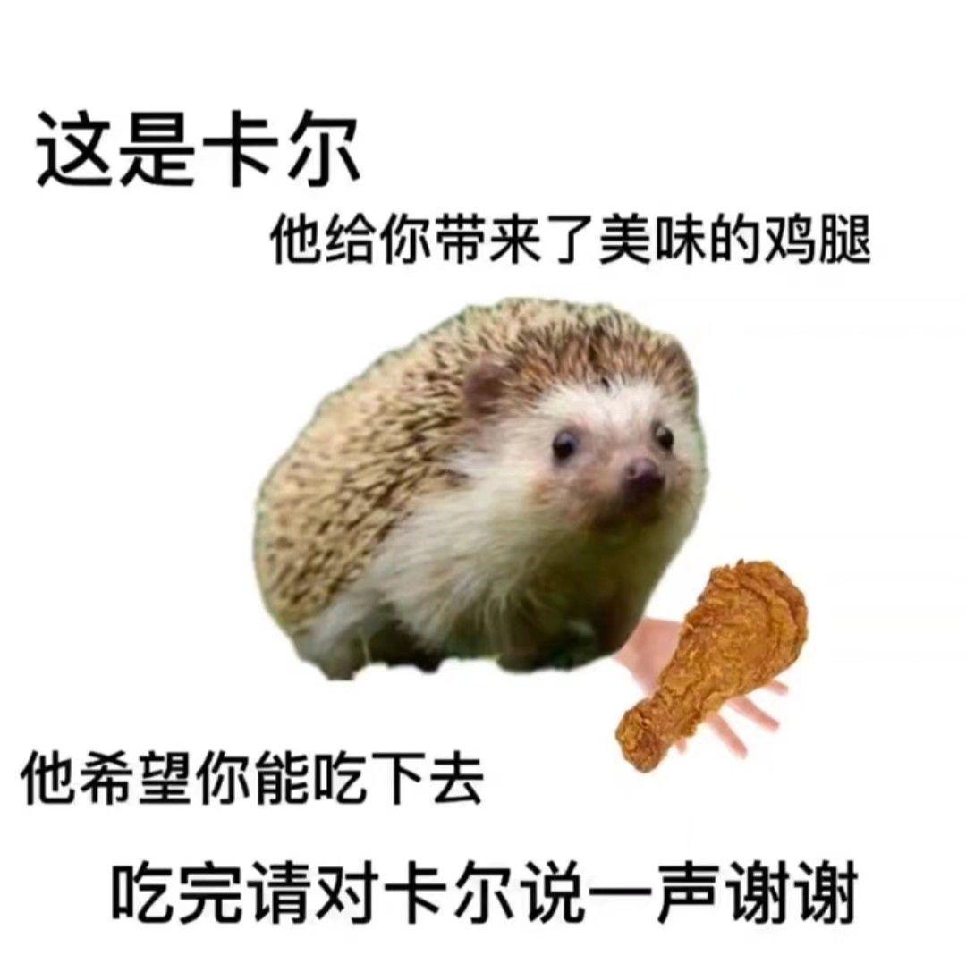 求刺猬卡尔表情包.哪哪都找不着? - 知乎
