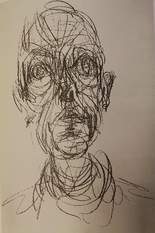 如何画一只死去的动物? - 知乎