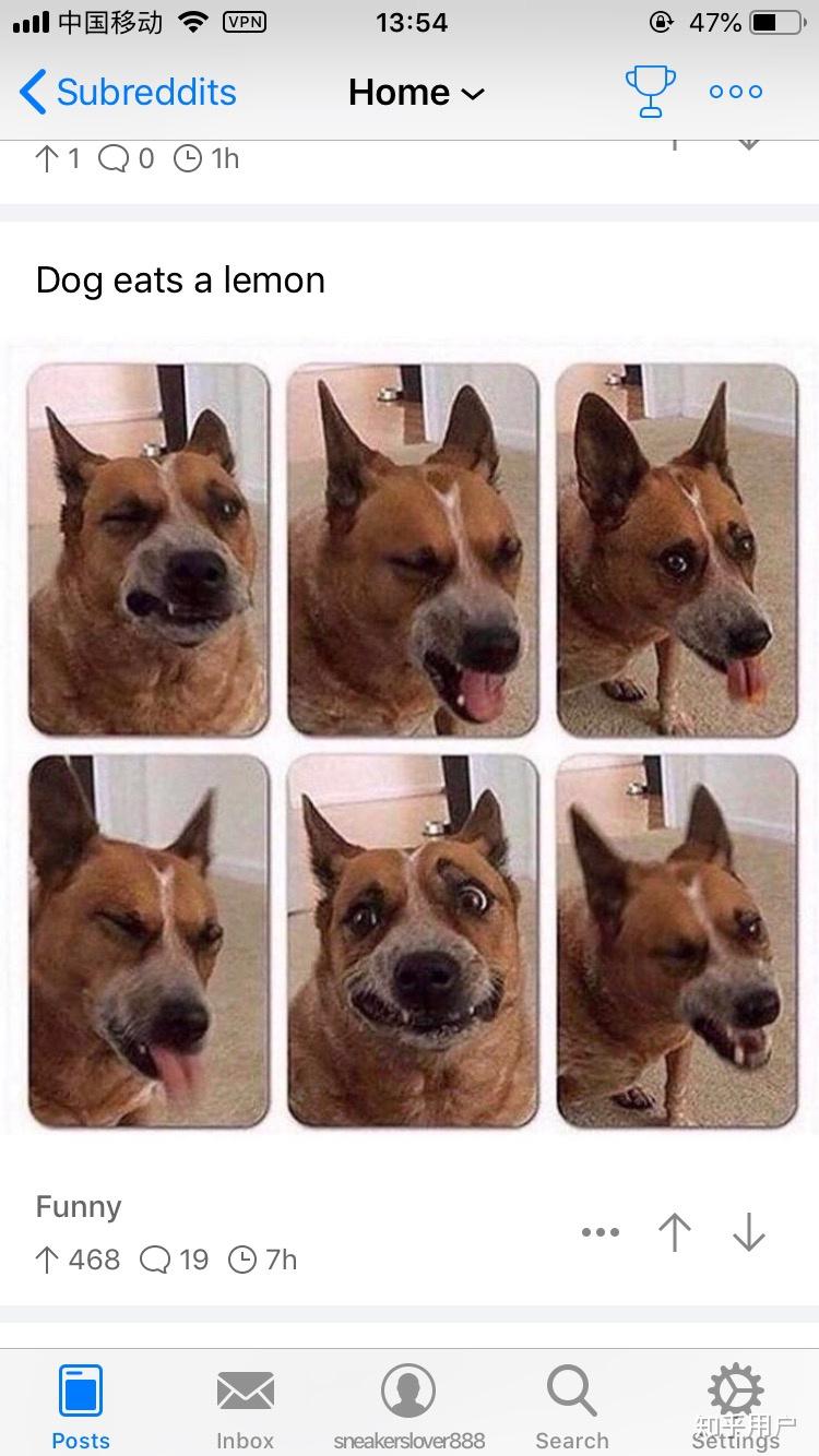 你有哪些特别搞笑的图片或视频值得分享