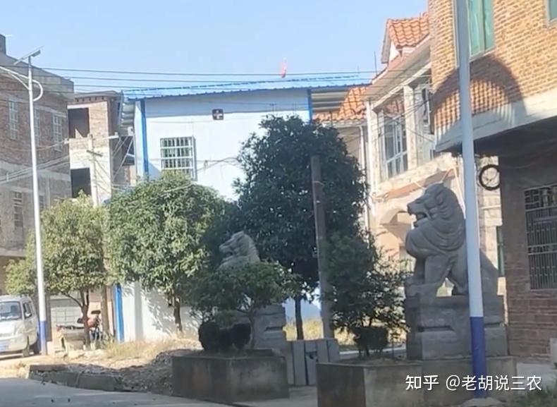 一家门前摆石狮,一家门前架大炮,两户人家“斗法”,互不相让 - 知乎
