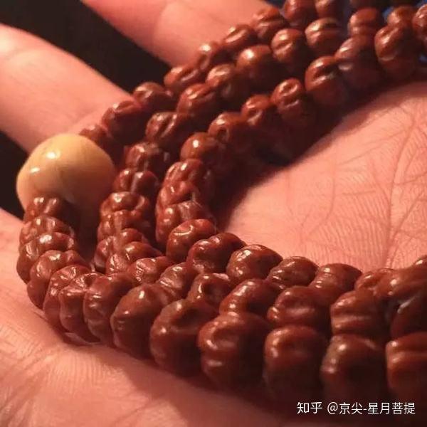 问:文玩菩提一共多少种?答:无数种,常见的多少种?答:31种- 知乎 问:文玩菩提一共多少种?答:无数种,常见的多少种?答:31种- 知乎