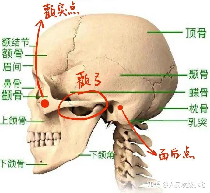 人为什么会“上镜胖十斤” ？把脸拍瘦的7个原则！ - 知乎