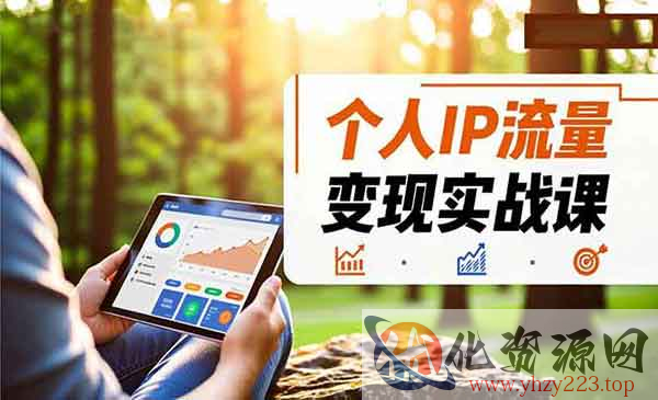 个人IP流量变现实战_wwz