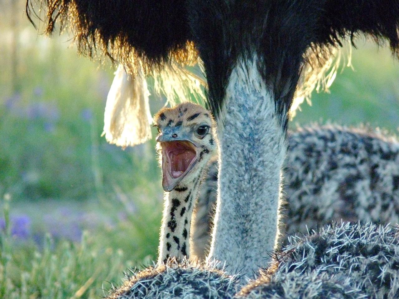 3. 生态宜居环境