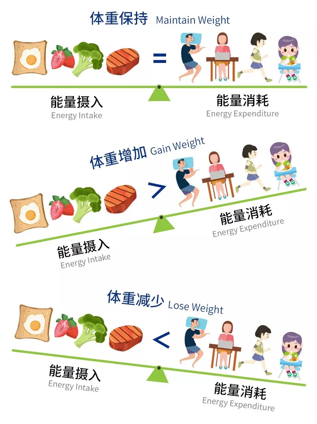节食减肥为什么效果不好? - 知乎