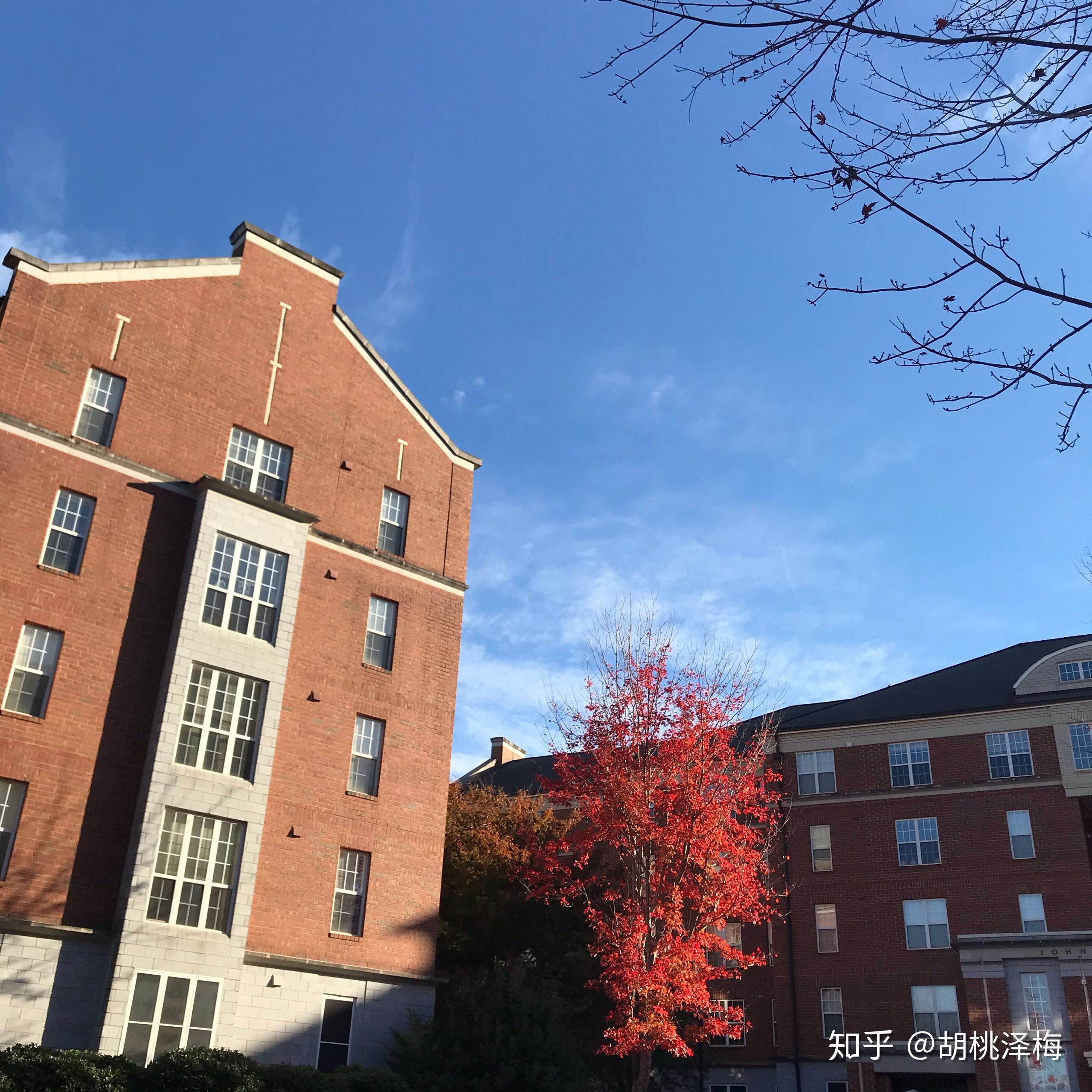 乔治亚州大学(佐治亚大学几流大学)