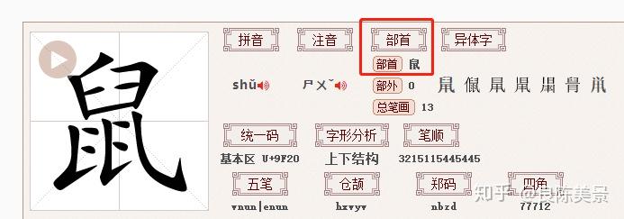 请问鼠字查什么偏旁部首