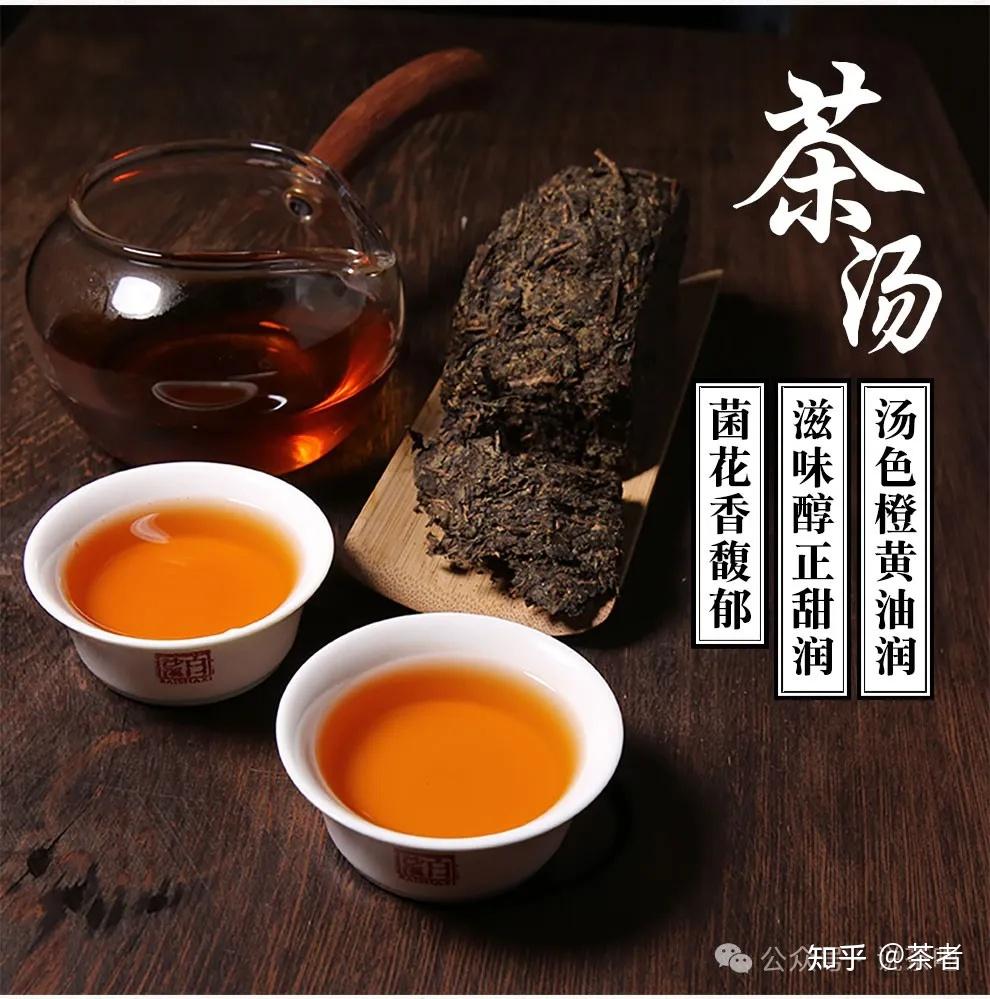 安化黑茶入门指南：如何挑选优质黑茶 - 知乎