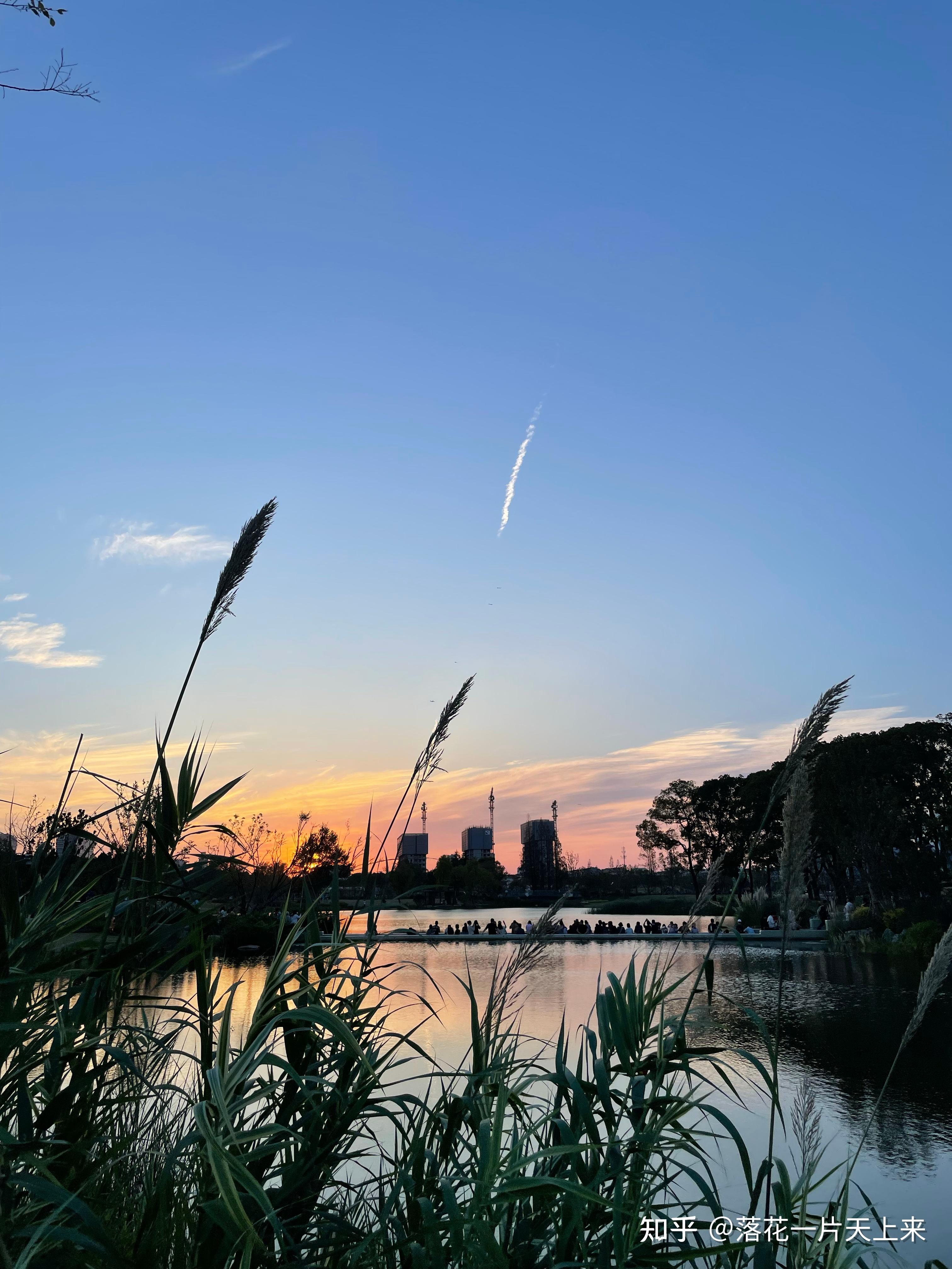 可以分享一张你手机里最近的美景图吗