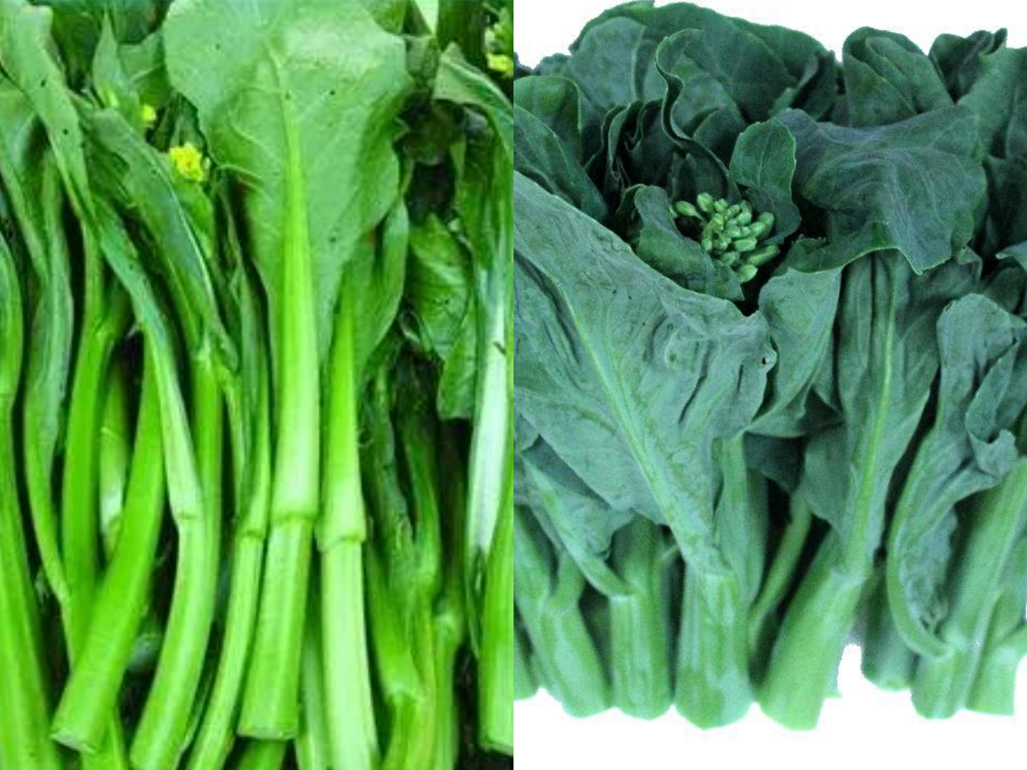 如何炒青菜更美味?