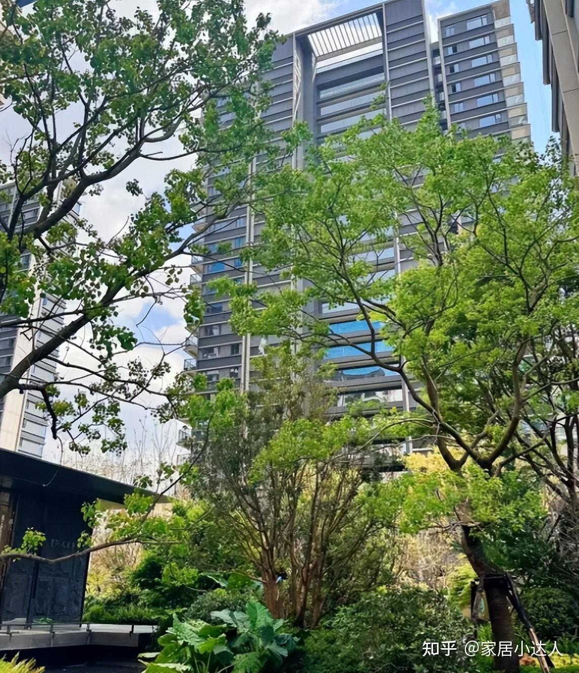 发现没？为什么越来多人嫌弃“回迁房”？内行人说出实情，涨知识 - 知乎