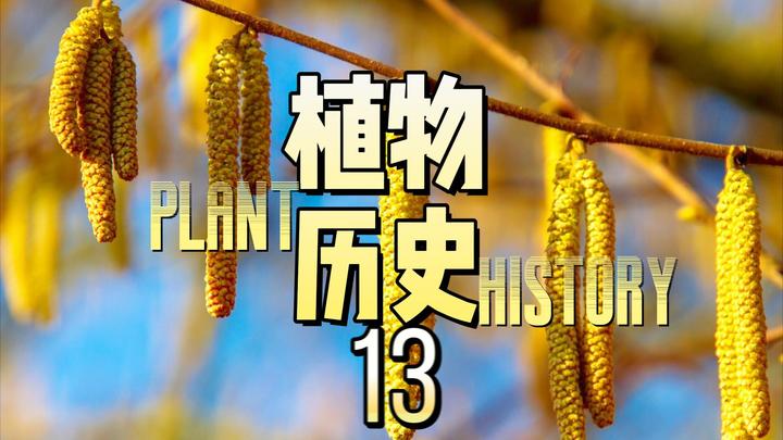 植物历史（十三）：被子植物的繁盛（中）——多样的传粉方式 - 知乎